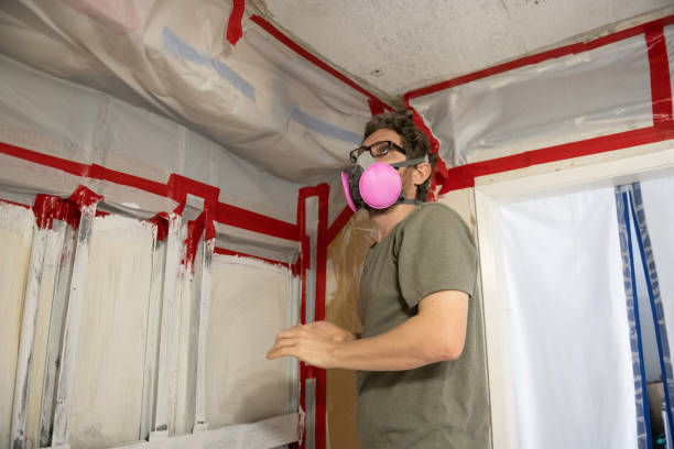 Best Emergency Mold Remediation  in Federal Y, WA